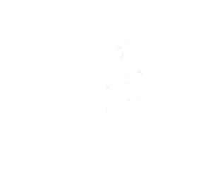 Dogubomb logo
