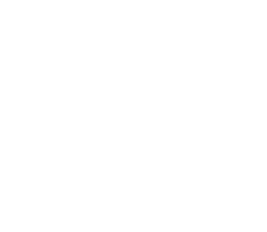 Raw Fury logo
